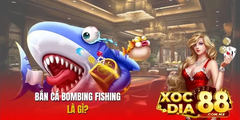 Game săn cá thú vị với lối chơi cuốn hút Game săn cá thú vị với lối chơi cuốn hút