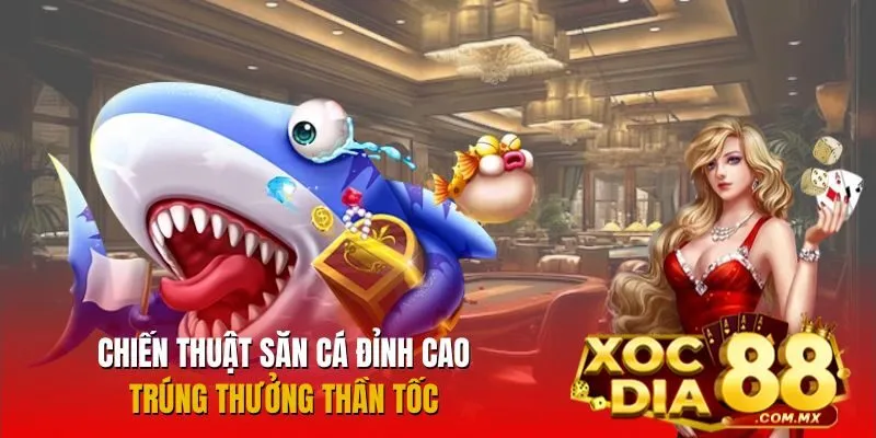 Mẹo chơi bắn cá thắng đậm từ cao thủ