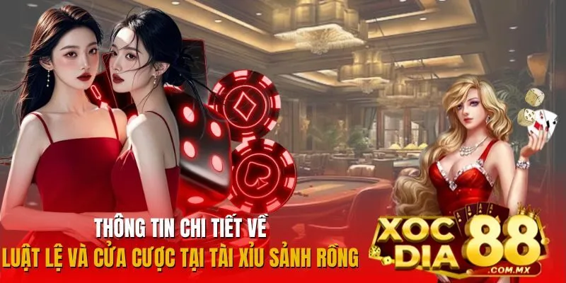 Quy tắc và cách đặt cược trong Tài Xỉu Sảnh Rồng