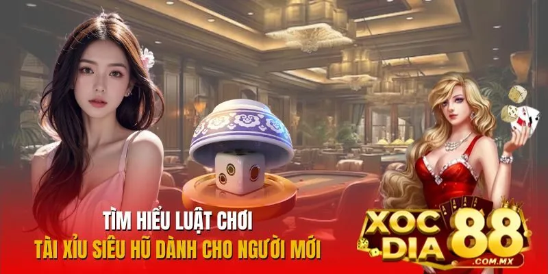Tìm hiểu cách chơi Tài Xỉu Siêu Hũ chi tiết